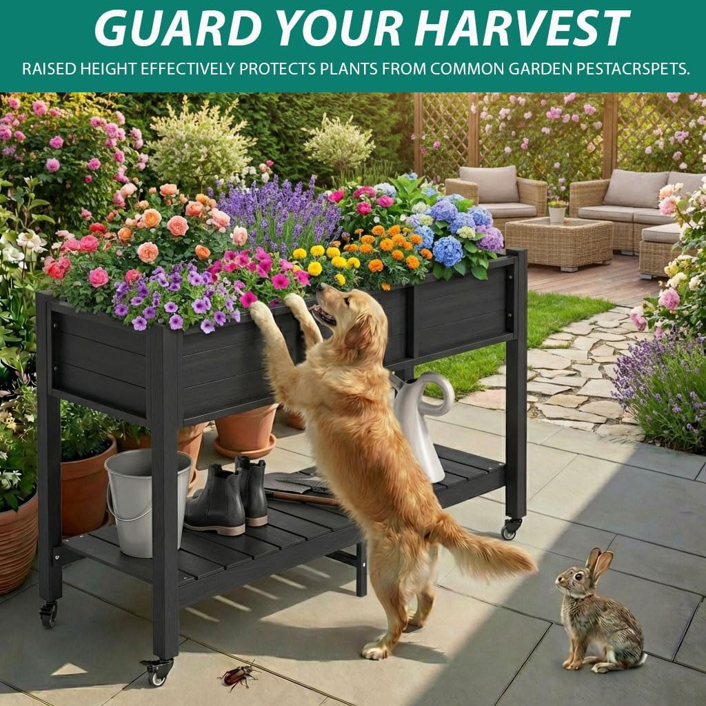 Elevated Raised Garden Bed Wit - Garden Storage Box recension och pris